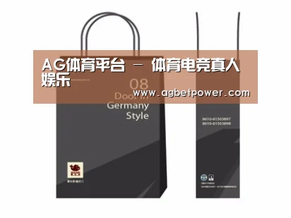 项目名称十四