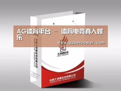 项目名称十三
