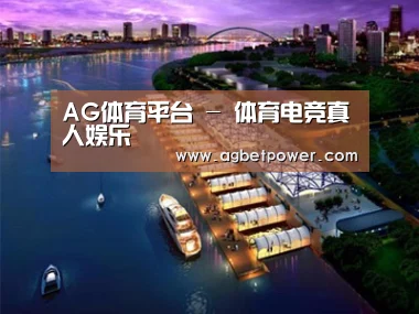 案例展示八