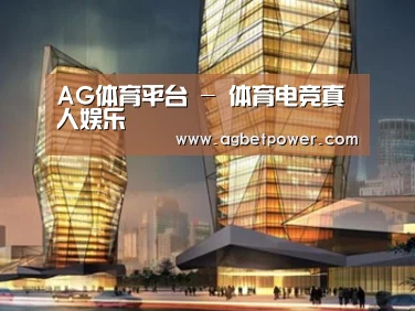 案例展示三