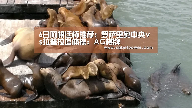 6日阿根廷杯推荐:罗萨里奥中央vs拉普拉塔体操:AG棋牌(图1) AG篮球