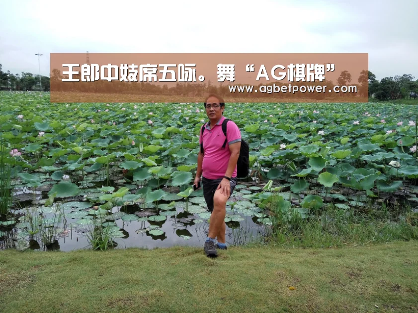 王郎中妓席五咏。舞“AG棋牌”(图2) AG棋牌