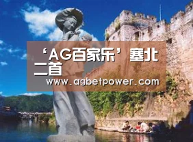 ‘AG百家乐’塞北二首(图4) AG篮球