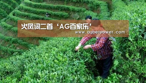 AG棋牌